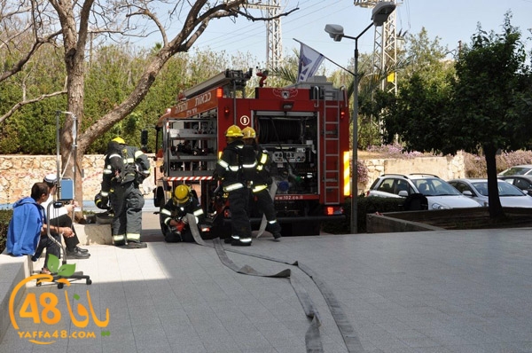 tamren asaf harof3e (7).jpg